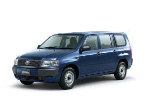 Коврик в багажник Toyota Probox/Succeed (правый руль) 2002-н.в.
