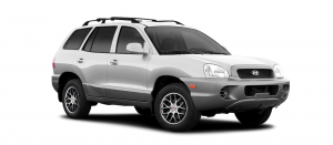 Коврики в салон (2 ряда) Hyundai Santa Fe I (классик) 2000-2012