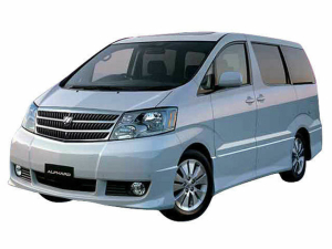 Коврики в салон (2 ряда) Toyota Alphard I 2002-2008 (