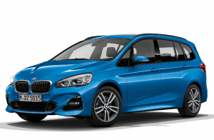 Коврики в салон (2 ряда) BMW 2 серия Grand Tourer (F48) 2015-н.в.