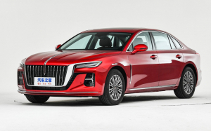 Коврик в багажник Hongqi H5 II 2022-н.в.