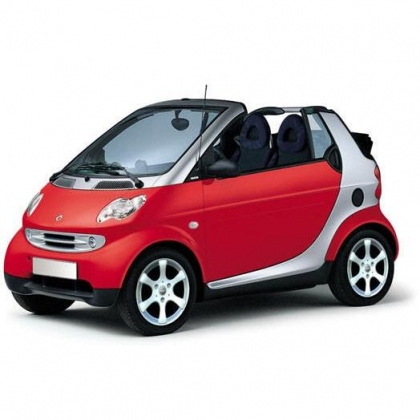 Коврики из экокожи 3D Smart City Coupe с 2002-2004